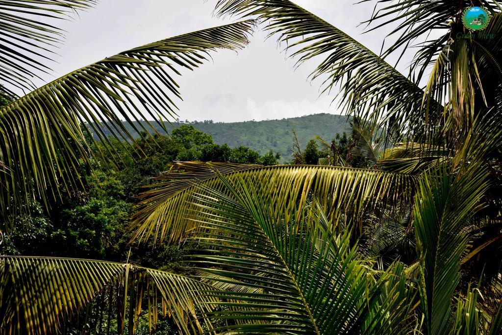 Green View Apartment Thekkady Exterior foto