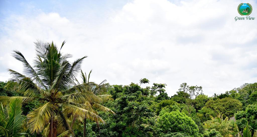 Green View Apartment Thekkady Exterior foto